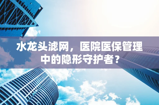 水龙头滤网，医院医保管理中的隐形守护者？