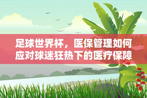 足球世界杯，医保管理如何应对球迷狂热下的医疗保障挑战？