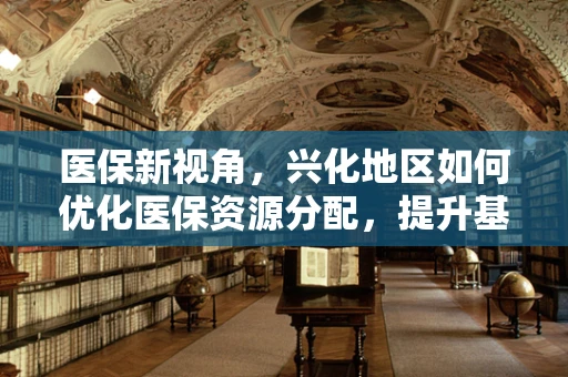 医保新视角，兴化地区如何优化医保资源分配，提升基层医疗服务效率？