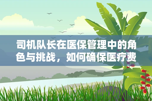司机队长在医保管理中的角色与挑战，如何确保医疗费用报销的合规性？