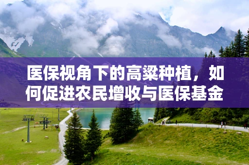 医保视角下的高粱种植，如何促进农民增收与医保基金的平衡？