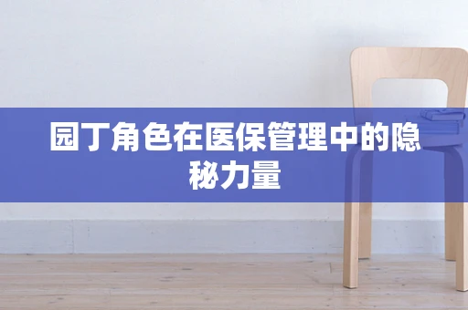 园丁角色在医保管理中的隐秘力量