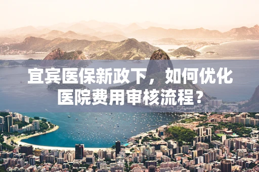 宜宾医保新政下，如何优化医院费用审核流程？