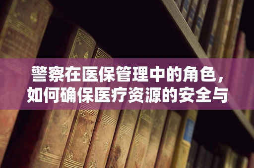警察在医保管理中的角色，如何确保医疗资源的安全与高效利用？
