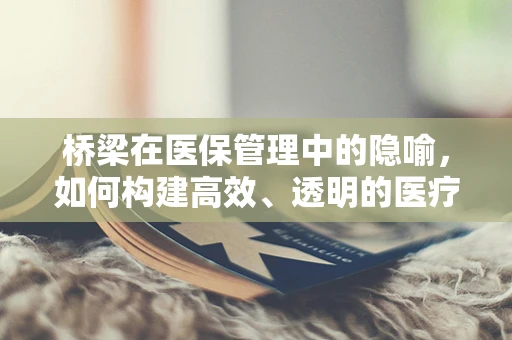 桥梁在医保管理中的隐喻，如何构建高效、透明的医疗费用支付体系？