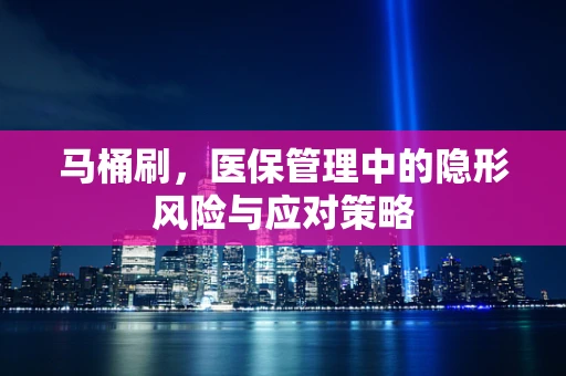 马桶刷，医保管理中的隐形风险与应对策略