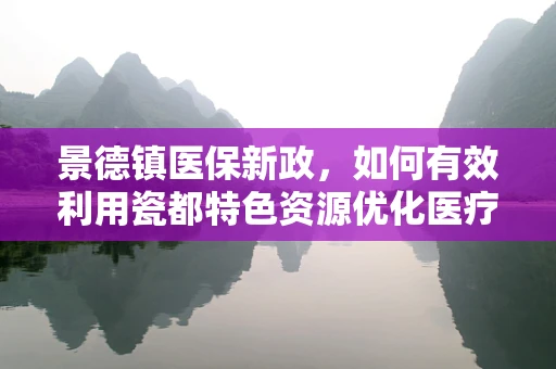 景德镇医保新政，如何有效利用瓷都特色资源优化医疗保障体系？