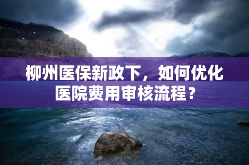 柳州医保新政下，如何优化医院费用审核流程？