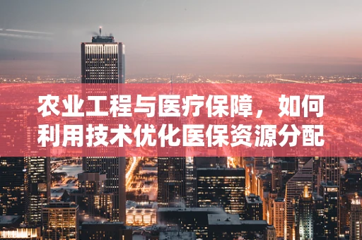 农业工程与医疗保障，如何利用技术优化医保资源分配？