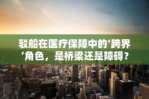 驳船在医疗保障中的‘跨界’角色，是桥梁还是障碍？