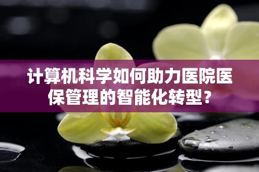 计算机科学如何助力医院医保管理的智能化转型？