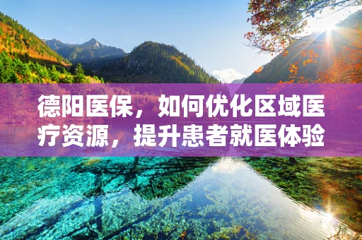 德阳医保，如何优化区域医疗资源，提升患者就医体验？