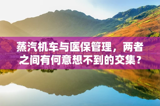蒸汽机车与医保管理，两者之间有何意想不到的交集？
