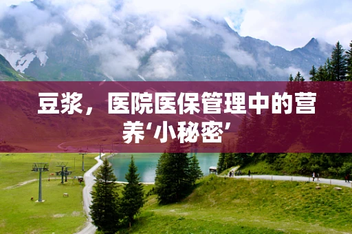 豆浆，医院医保管理中的营养‘小秘密’