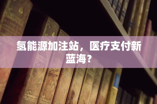 氢能源加注站，医疗支付新蓝海？