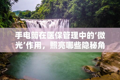 手电筒在医保管理中的‘微光’作用，照亮哪些隐秘角落？