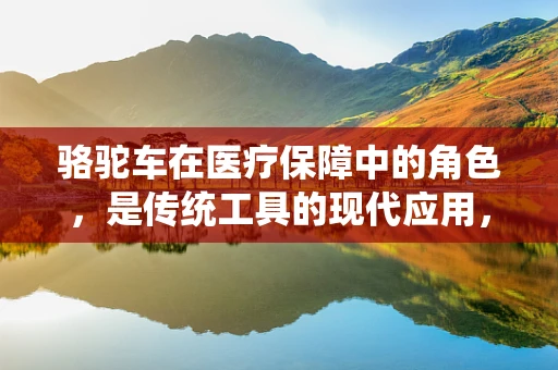 骆驼车在医疗保障中的角色，是传统工具的现代应用，还是创新服务的象征？