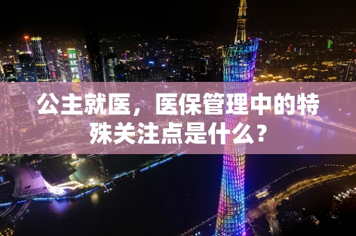 公主就医，医保管理中的特殊关注点是什么？