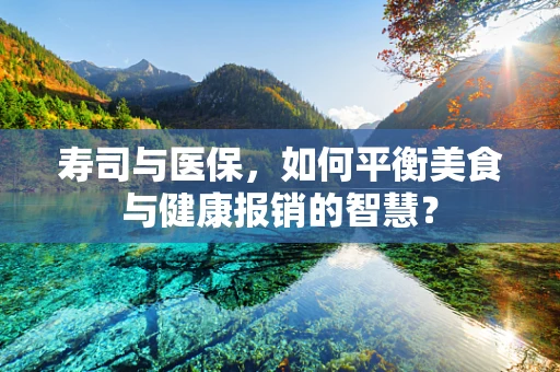 寿司与医保，如何平衡美食与健康报销的智慧？