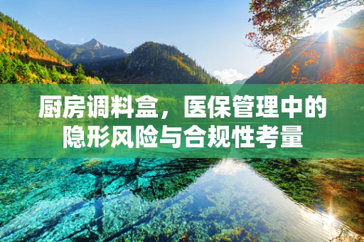 厨房调料盒，医保管理中的隐形风险与合规性考量