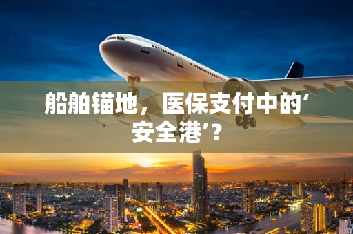 船舶锚地，医保支付中的‘安全港’？