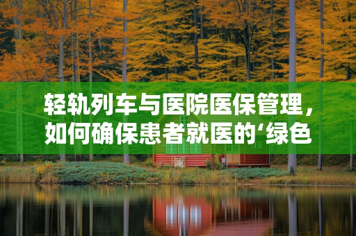 轻轨列车与医院医保管理，如何确保患者就医的‘绿色通道’？