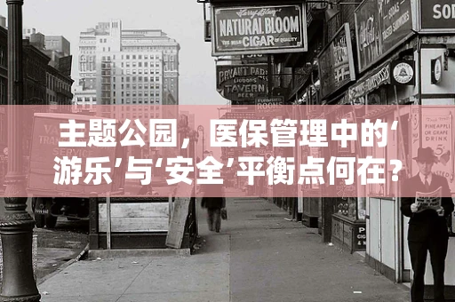 主题公园，医保管理中的‘游乐’与‘安全’平衡点何在？