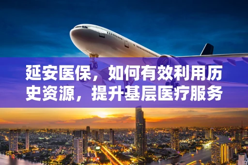延安医保，如何有效利用历史资源，提升基层医疗服务质量？