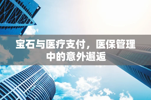 宝石与医疗支付，医保管理中的意外邂逅