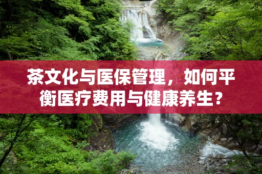茶文化与医保管理，如何平衡医疗费用与健康养生？
