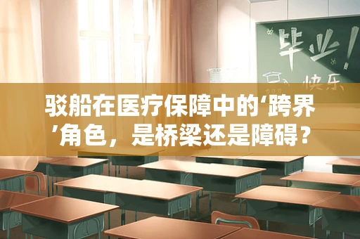 驳船在医疗保障中的‘跨界’角色，是桥梁还是障碍？