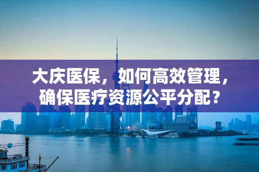 大庆医保，如何高效管理，确保医疗资源公平分配？