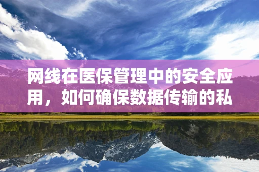 网线在医保管理中的安全应用，如何确保数据传输的私密与安全？