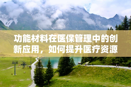 功能材料在医保管理中的创新应用，如何提升医疗资源利用效率？
