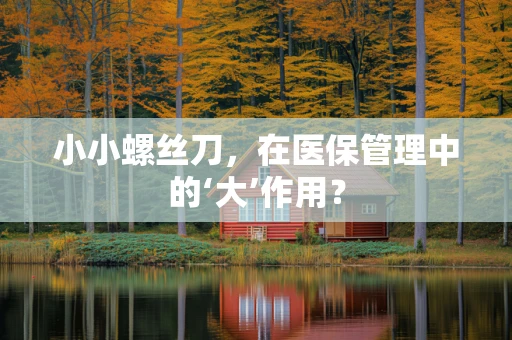 小小螺丝刀，在医保管理中的‘大’作用？
