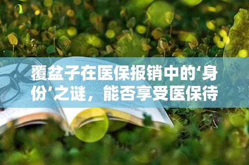 覆盆子在医保报销中的‘身份’之谜，能否享受医保待遇？