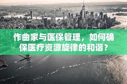 作曲家与医保管理，如何确保医疗资源旋律的和谐？