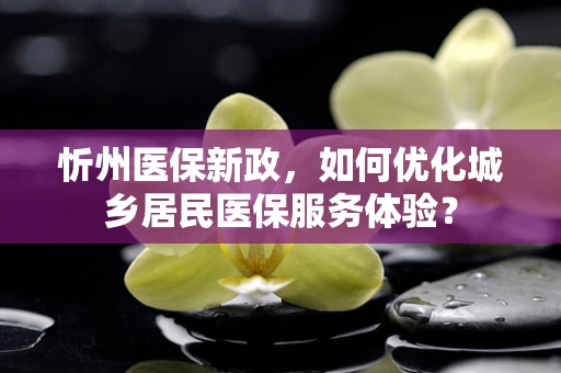 忻州医保新政，如何优化城乡居民医保服务体验？