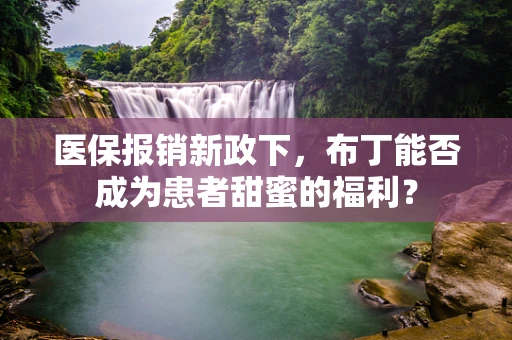 医保报销新政下，布丁能否成为患者甜蜜的福利？