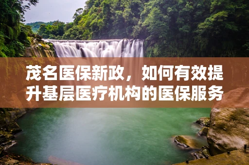 茂名医保新政，如何有效提升基层医疗机构的医保服务水平？