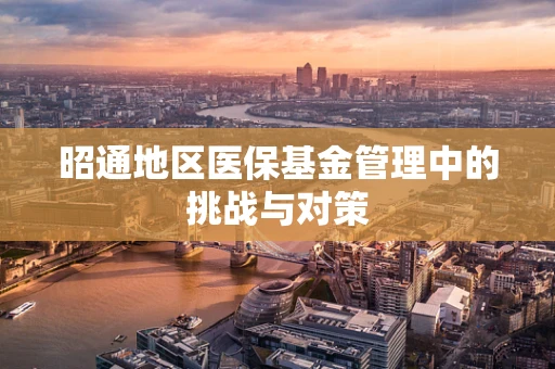 昭通地区医保基金管理中的挑战与对策