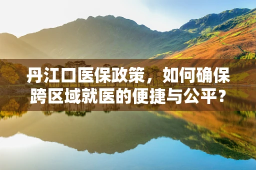 丹江口医保政策，如何确保跨区域就医的便捷与公平？