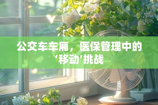 公交车车厢，医保管理中的‘移动’挑战