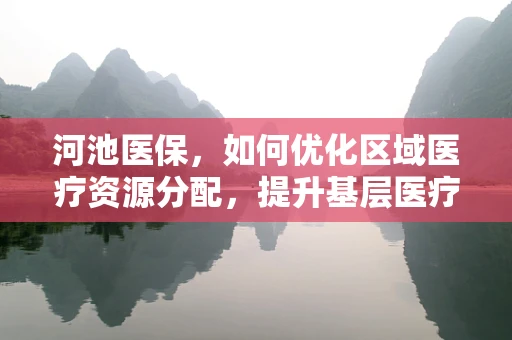 河池医保，如何优化区域医疗资源分配，提升基层医疗服务质量？