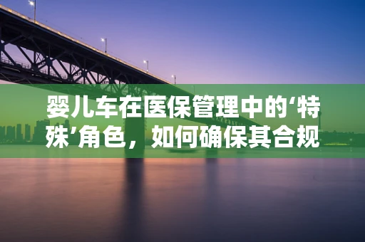 婴儿车在医保管理中的‘特殊’角色，如何确保其合规使用与安全？