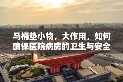 马桶垫小物，大作用，如何确保医院病房的卫生与安全？