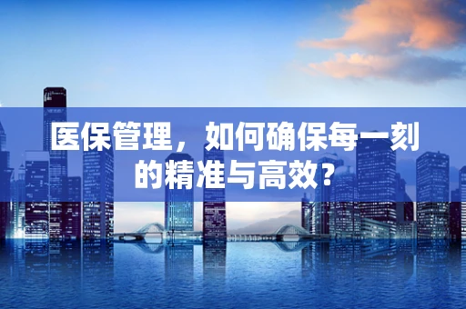 医保管理，如何确保每一刻的精准与高效？