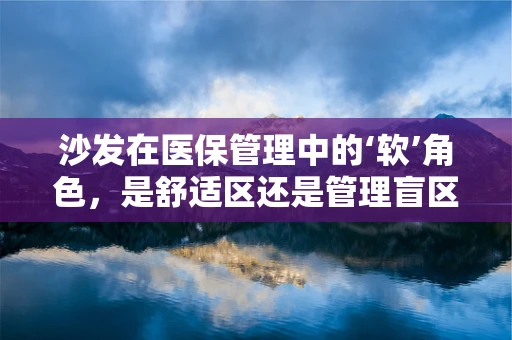 沙发在医保管理中的‘软’角色，是舒适区还是管理盲区？