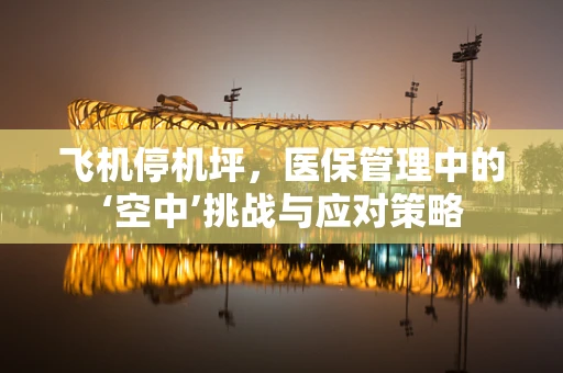 飞机停机坪，医保管理中的‘空中’挑战与应对策略