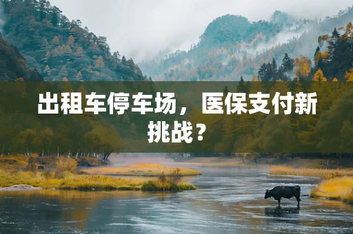 出租车停车场，医保支付新挑战？